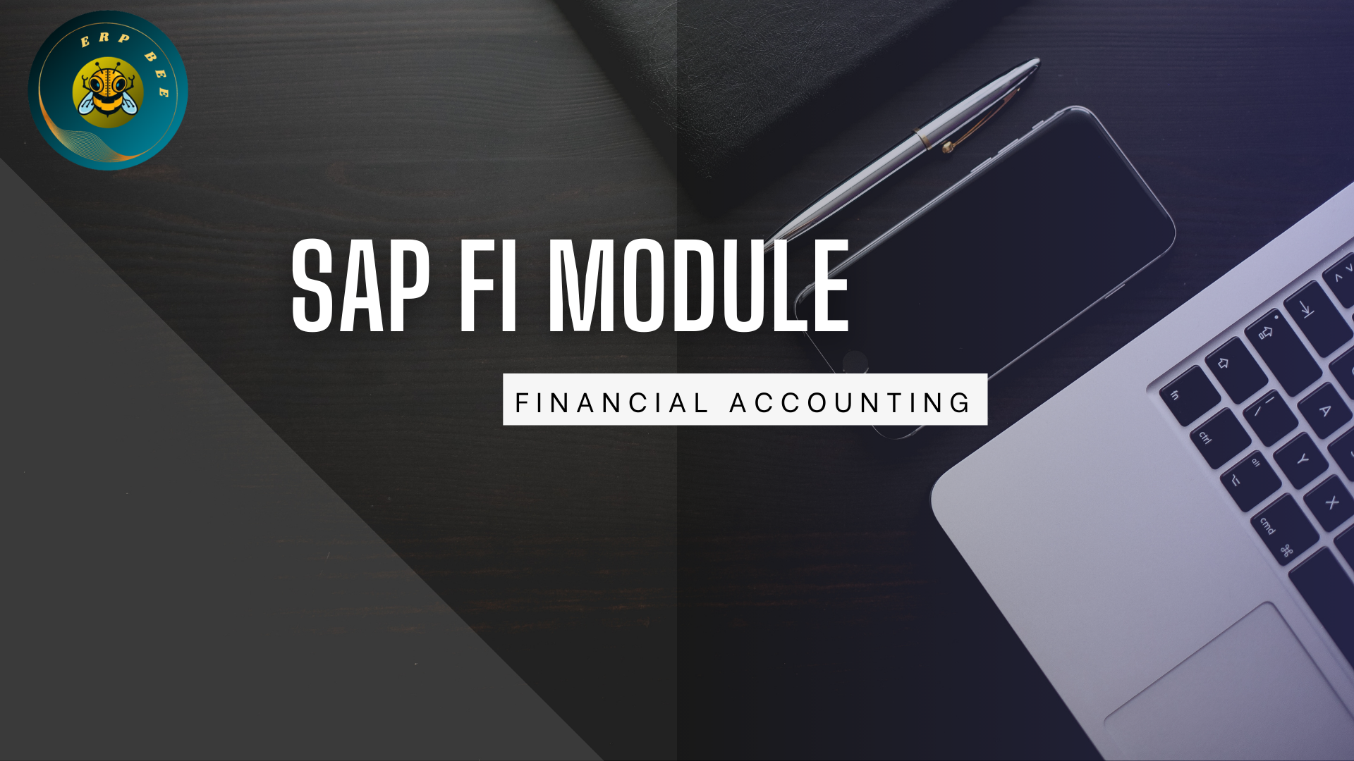 SAP-FI-MODULE